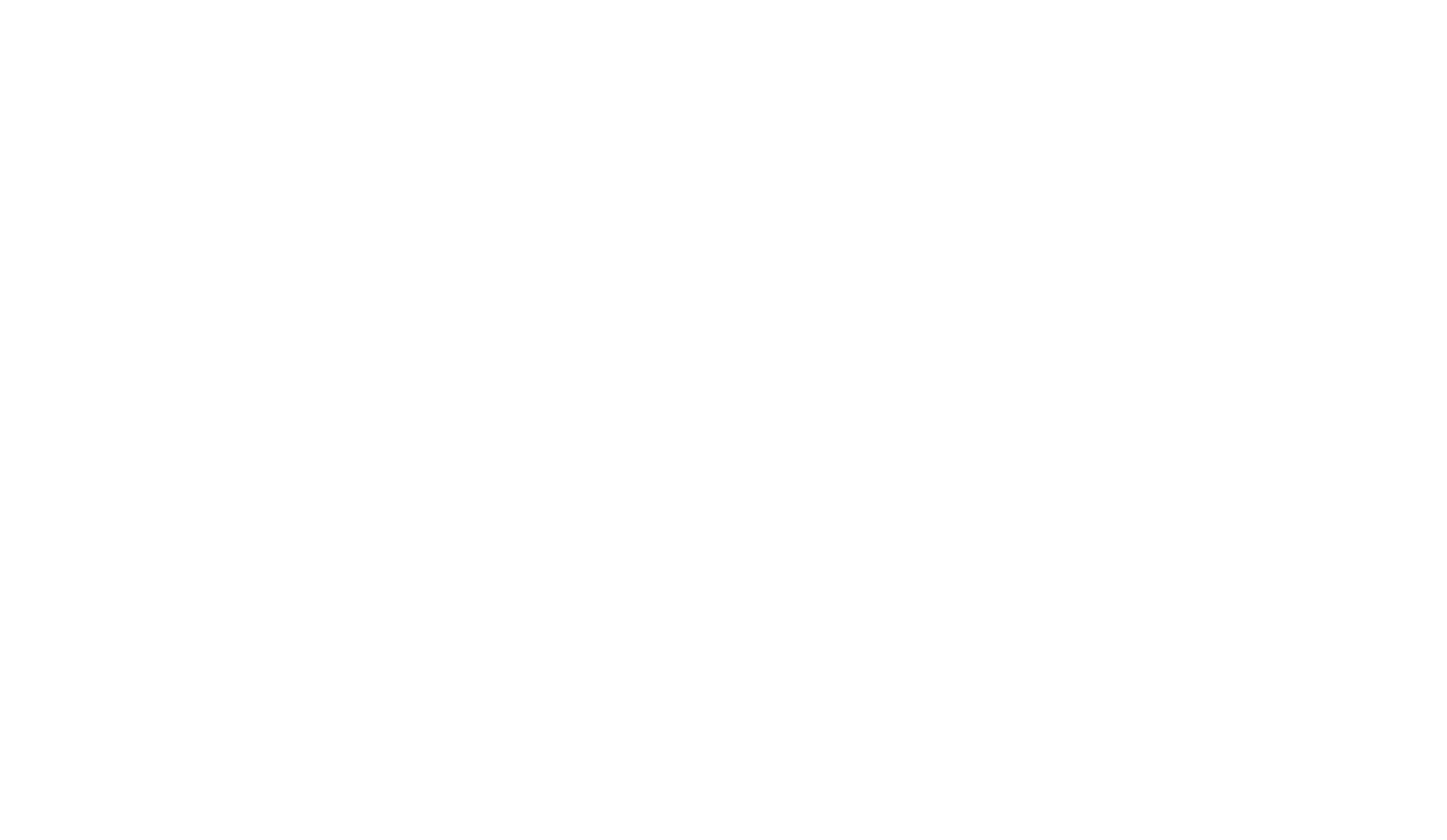 The level logo